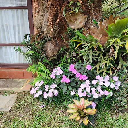 Отель Sitio Mae Terra Afonso  Экстерьер фото